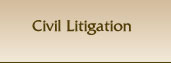 Civil Litigation